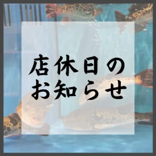 いつもご愛顧ありがとうございます。  4月の店休日は 22日(月…